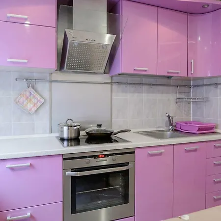 Трехкомнатная Квартира На Проспекте Звезда Apartment *